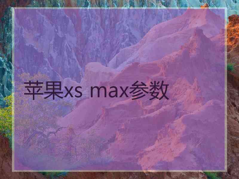 苹果xs max参数