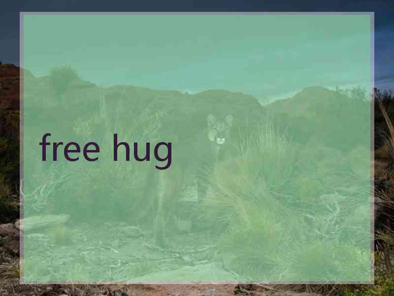free hug