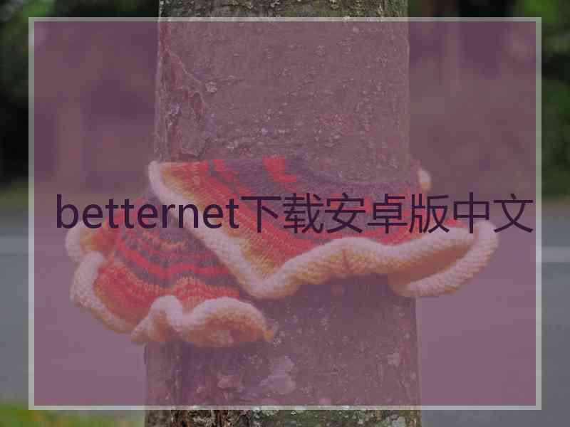 betternet下载安卓版中文